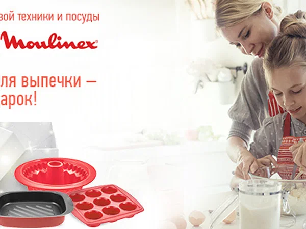 Баннер Tefal-Moulinex